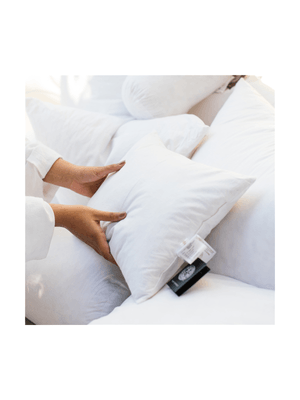 Granny Goose Feather Scatter Cushion Inner 60x30
