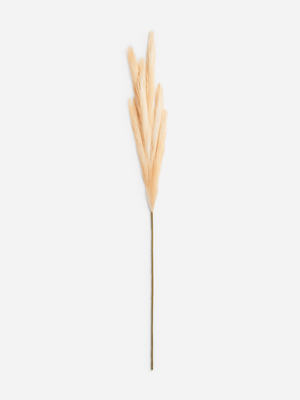 Jet Home Tan Gampas Grass