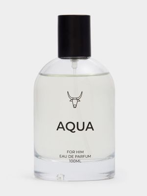 Men's Aqua Perfume