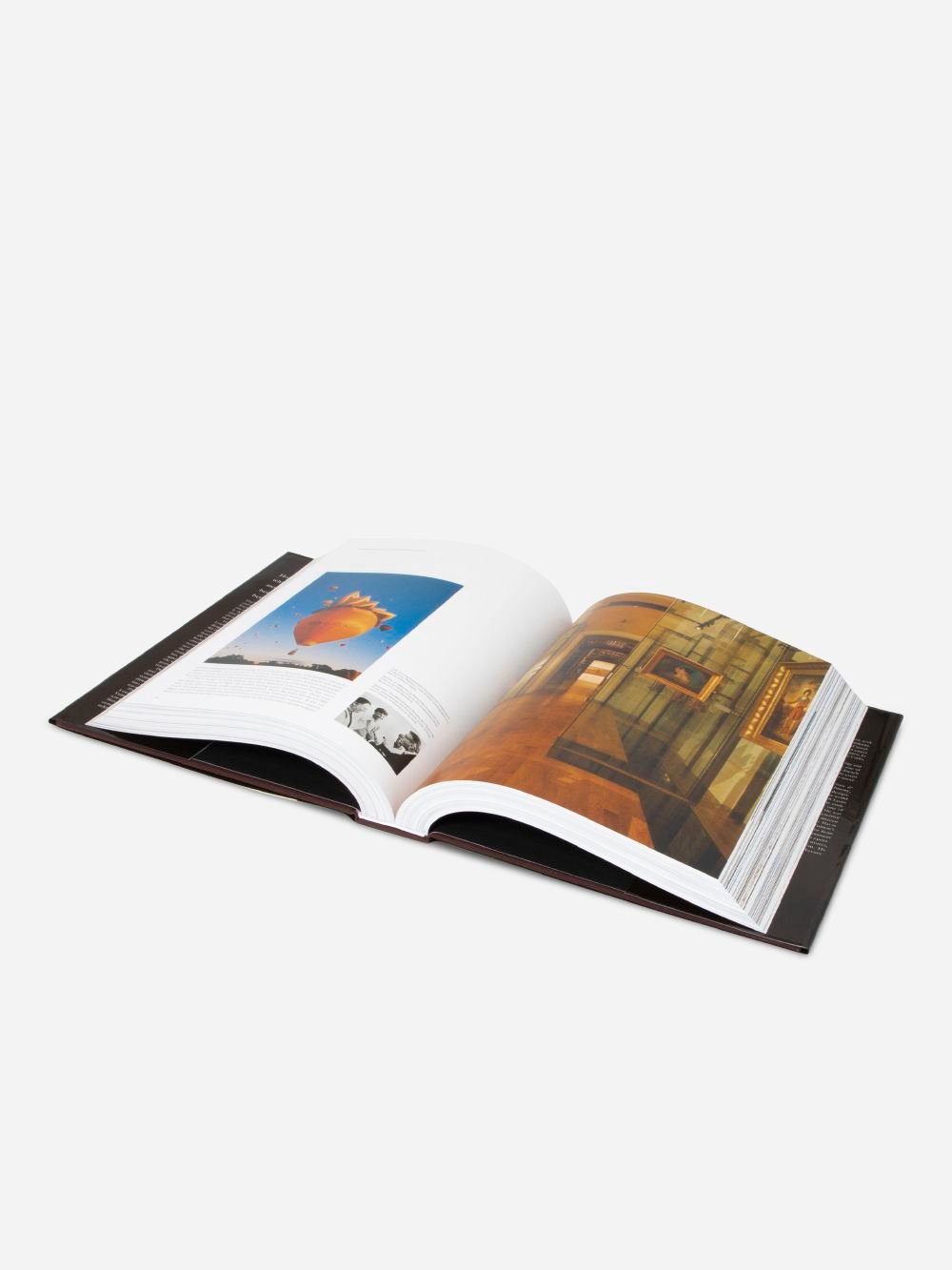Louis Vuitton Birth of Modern Luxury Book | Bash