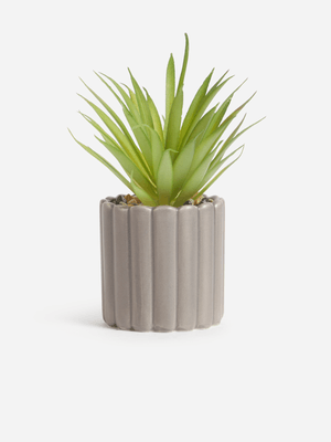 Jet Home Grey Rib Succelent