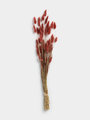 Jet Home Burgundy Dried Lagurus Stem